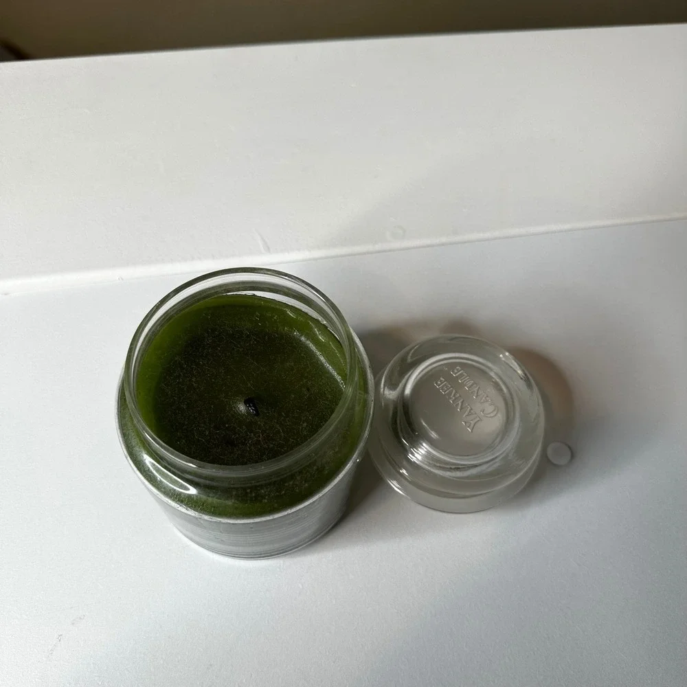 Yankee Candle Fresh Mint Housewarmer Scented Jar Candle 14.5 oz Green Wax